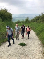 Champagne FAY Michel - 