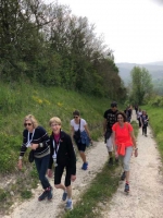 Champagne FAY Michel - 