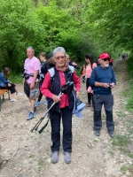 Champagne FAY Michel - 