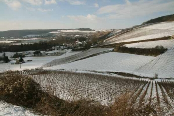 Champagne FAY Michel - Barzy-sur-Marne sous la neige