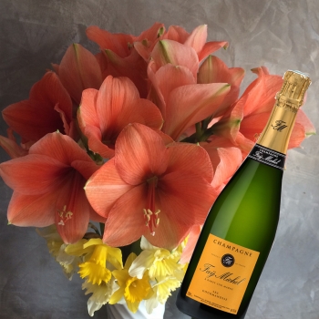 Champagne FAY Michel - 