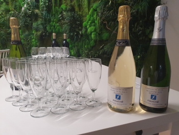 Champagne FAY Michel - 