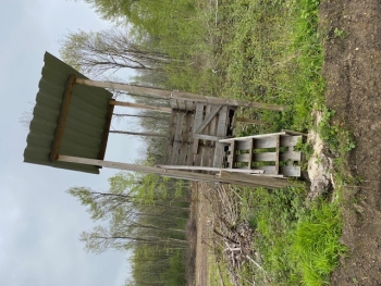 Champagne FAY Michel - 