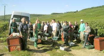 Champagne FAY Michel - L'équipe de vendangeurs