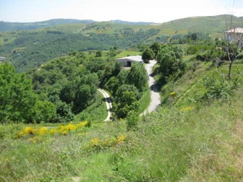 Champagne FAY Michel - paysage ardéchoix