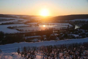 Champagne FAY Michel - Vue sur la Vallée de la Marne